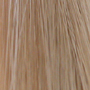 43 - Light Neutral Blonde w/Light Golden Blonde Highlights
