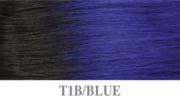 T1B/BLUE