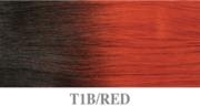 T1B/RED